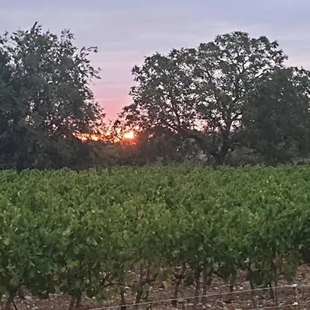 La Cocalyne
